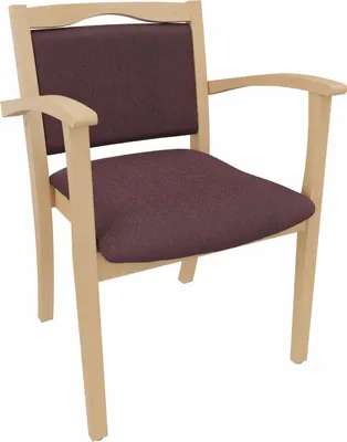 Produktbild von Seniorenstuhl Alexander mit Armlehnen – Komfortabler Pflegestuhl –  47cm Sitzhöhe.Stoffbezug:Stoff Kariba Bordeaux,Bodengleiter:Kunststoff Weiss