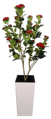 Productafbeelding van Kunstplant - Rubberboom - Bodemplant - 180 cm - Tropische kamerplant - Decoratieve kunststofplant - Veel rode bloemen - Witte plantenpot