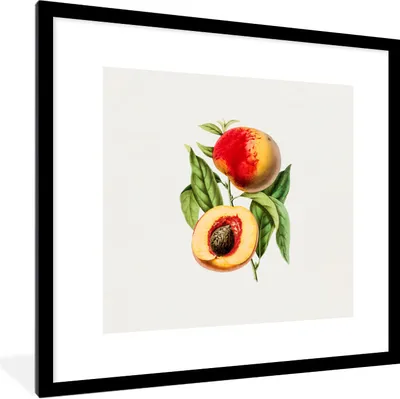 Produktbild von MuchoWow® Gerahmtes Poster Pfirsich - Frucht - Blatt 40x40 cm - Poster mit Schwarzem Bilderrahmen Wandposter Rahmen Foto Bilder - Poster - Plakat im Rahmen