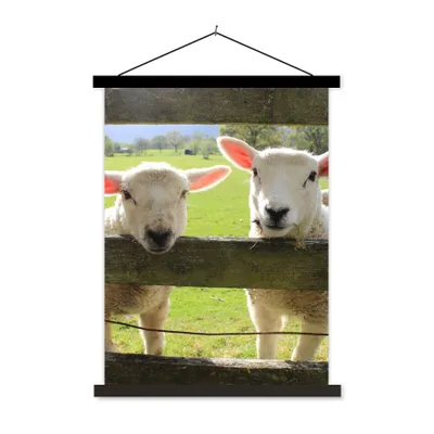 Produktbild von MuchoWow® Textilposter Schafe - Tiere - Bauernhof 90x120 cm mit schwarzem Rahmen - Dekoration