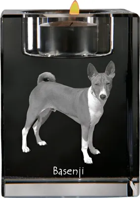 Immagine prodotto di Art-Dog Portacandela tealight – Basenji