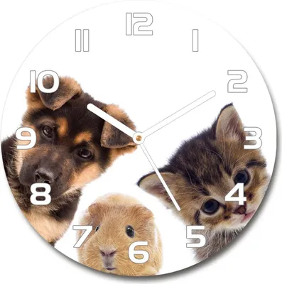 Produktbild von Wanduhr aus Glas 30fi Glasbild Glasuhr Gehärtetes Glas - weisse-zeiger - Pets