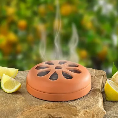 Produktbild von Terracotta-Schale mit 6 Citronella-Ringen