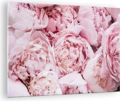 Produktbild von Bilder auf glas - Einteilig - Blumenstrauß Blumen Rosa - 70x50cm - Glasbilder - Wandbilder - Bilder - zum Aufhängen bereit - Wanddekoration aus Glas - Glas Bilder - Wandbild auf Glas - GAA70x50-5001