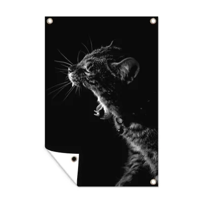 Obrázek produktu pro MuchoWow® Zahradní plakáty - Kočka - Zvířata - černá - bílá - 180x120 cm - Zahradní dekorace