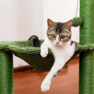 Image de Arbre à gratter de taille moyenne pour chats, avec panier/hamac douillet, jouets pour chats, et griffoir