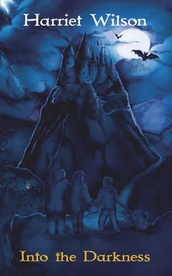 Produktbild von Into the Darkness