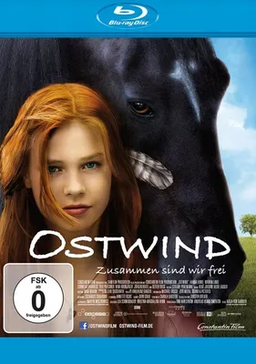 Produktbild von Ostwind