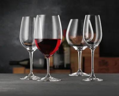 Immagine prodotto di Set di 4 bicchieri da champagne Nachtmann ViVino