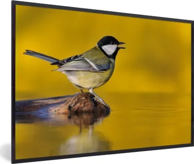 Produktbild von MuchoWow® Gerahmtes Poster Kohlmeise - Vogel - Wasser 90x60 cm - Poster mit Schwarzem Bilderrahmen Wandposter Rahmen Foto Bilder - Fotorahmen - Foto-Plakat