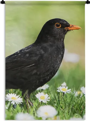 Produktbild von MuchoWow® Wandteppich Wandbehang Vogel - Amsel - Blumen 90x135 cm Tapisserie Dekoration Wandtuch - Baumwolle - Wandskulptur