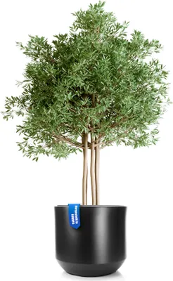 Produktbild von BigDean Blumentopf Style ø 58 cm anthrazit mit herausnehmbaren Innentopf - wetterfester Blumenkübel aus bruchsicherem Kunststoff - Pflanzkübel groß