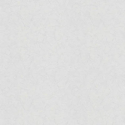 Produktbild von A.S. Création Vliestapete Meistervlies Pro Protect 2, weiss, überstreichbar, 25,00 m x 1,06 m, 587114, 5871-14