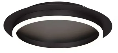 Image de Steinhauer - plafonnier - Ringlux - noir - métal - Ø 32cm - LED - 3655ZW
