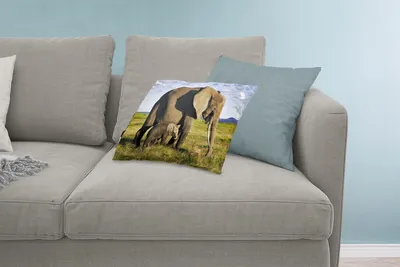 Produktbild von MuchoWow® Zierkissen Sofakissen Wohnzimmer Dekokissen 60x40 cm Elefant - Tiere - Grasland - Grün - Grau - Kopfkissen - Polster mit Foto