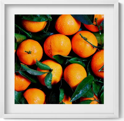 Produktbild von Reife italienische Orangen– Wandbild mit Rahmen – Gerahmtes Bild  – Wanddekoration – 50x50 cm –  Weiß Rahmen