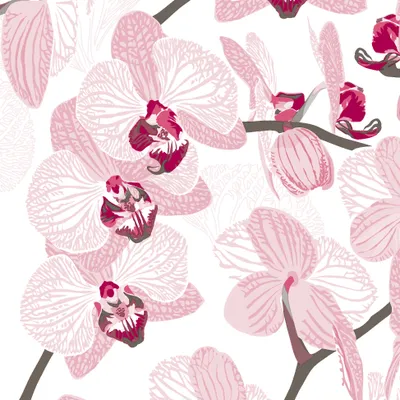 Produktbild von HAPPY PAPER Serviette "Aphrodite" (Orchidee) aus Tissue 33 x 33 cm, 20 Stück