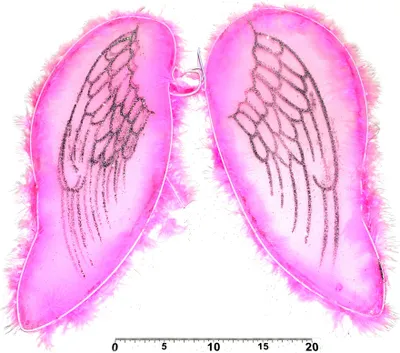 Immagine prodotto di Ali angelo/fata rosa