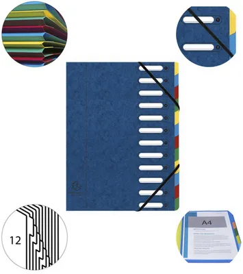 Produktbild von Exacompta 55122E Ordnungsmappe HARMONIKA mit Fenstern und Gummizug 12 Fächer