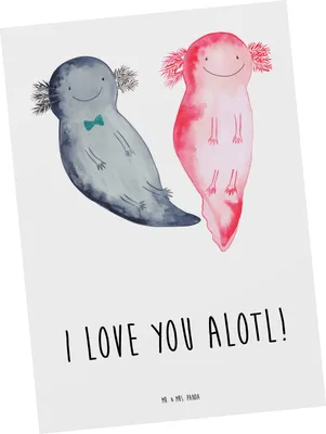 Produktbild von Mr. & Mrs. Panda Postkarte Axolotl Liebe - Weiß - Geschenk, Hochzeitstag, Mitbringsel, Ansichtskarten, Grußkarte, Postkarten, einzelkarte, für Partner, Valentinstag