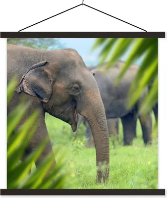 Produktbild von MuchoWow® Textilposter Elefant - Palme - Tiere 60x60 cm mit schwarzem Rahmen - Posteraufhänger