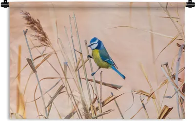 Produktbild von MuchoWow® Wandteppich Wandbehang Vogel - Blaumeise - Schilf 150x100 cm Tapisserie Dekoration Wandtuch - Waschbar - Tapisserien - Wand-Decke