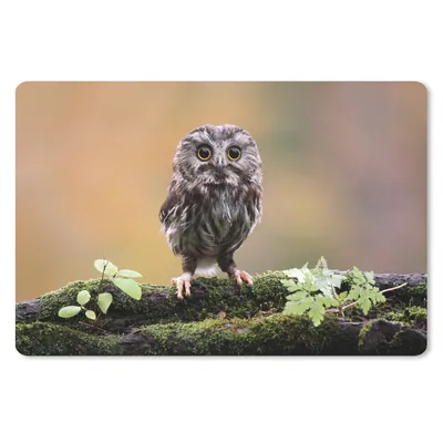 Produktbild von MuchoWow® Mauspad Mousepad Steinkauz 27x18 cm - Mousepads - Maus Mat - Pad - Mausunterlage - Büroartikel - Desk Matten