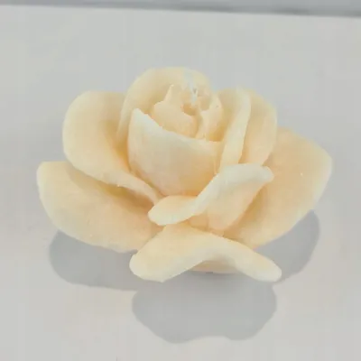 Image de Adpal Bougie Rose Écru Stéarine Parfumée Lot de 3