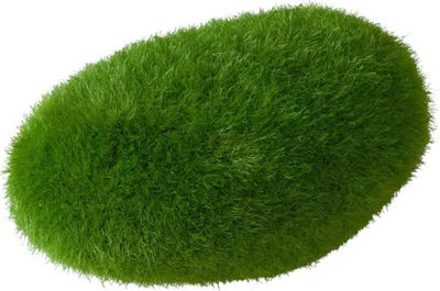 Zdjęcie produktu dla Dekoracja akwariowa Moss Aqua Della Duvo+ 10 x 6,5 x 5 cm