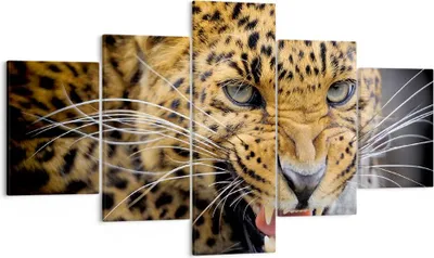 Produktbild von Bild auf Leinwand - Leinwandbild - Leopard tier savanne afrika - 125x70cm - Wand Bild - Wanddeko - Leinwanddruck - Bilder - Kunstdruck - Wanddekoration - Leinwand bilder - Wandkunst - EA125x70-2728