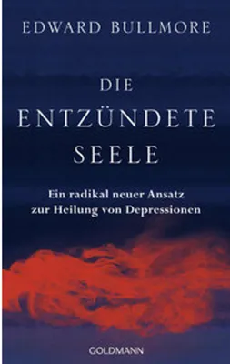 Obrázok produktu pre Die entzündete Seele