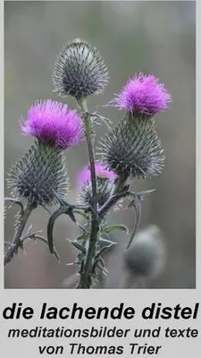 Immagine prodotto di Die lachende Distel
