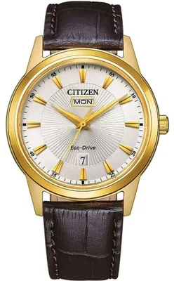 Zdjęcie produktu dla Model Citizen. Citizen Of Classic