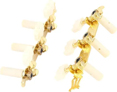 Produktbild von 3+3 AcrylKlassikgitarre Saitenstimmwirbel Mechaniken Gold