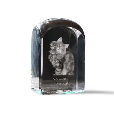 Imagen del producto de Art-Dog Pisapapeles – Gato de los Bosques de Noruega