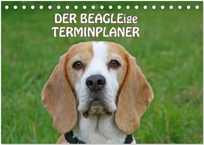Produktbild von DER BEAGLEige TERMINPLANER (Tischkalender 2025 DIN A5 quer), CALVENDO Monatskalender