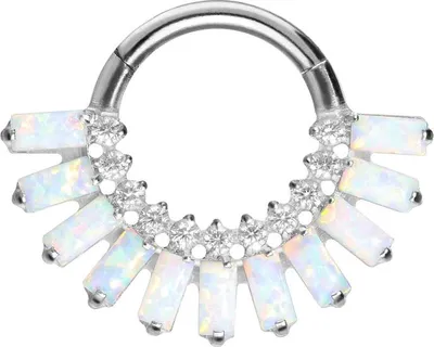 Produktbild von Ohrpiercing, Nasenpiercing, Septum Piercing Titan Segmentring Clicker EINGEFASSTE KRISTALLE + SYNTHETISCHE OPALE