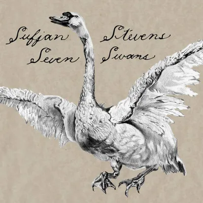Produktbild von Sufjan Stevens - Seven Swans (LP)