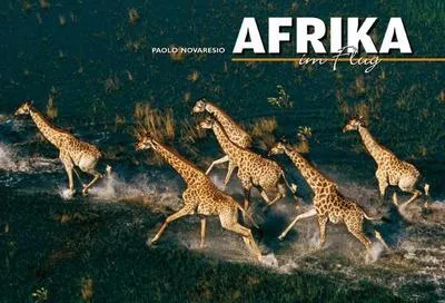 Produktbild von Novaresio, P: Afrika im Flug