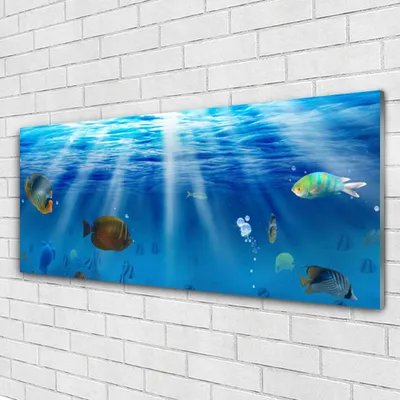 Produktbild von Acrylglasbilder 125x50 Wandbild Druck Fische Natur