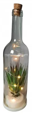 Produktbild von Dekor LED Flaschen-Lampion Kaktus Glas 28,5 cm