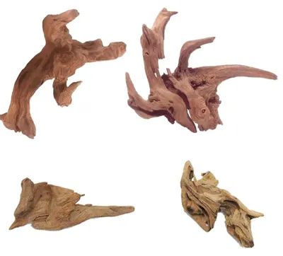 Immagine prodotto di Legno di mangrovia per acquario - 4 pezzi di radici naturali