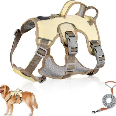 Produktbild von Famanu Hundegeschirr mit Leine Set - Ausbruchsicher und Anti-Zug - Beige - M