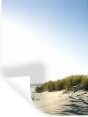 Produktbild von MuchoWow® - Repositionierbar - Wasser abweisend