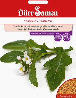Produktbild von Dürr-Samen - Wasabi-Rauke - Saatgut - 4360