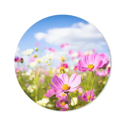 Produktbild von MuchoWow® Mauspad Mousepad Blumen - Wiese - Lila - Gras - Weiß - Wolken - Blau 20x20 cm - Mousepads - Maus Mat - Pad - Mausunterlage - Schreibtischmatte