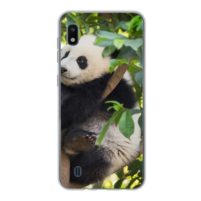 Produktbild von MuchoWow® Handyhülle Schutzhülle Hülle für Samsung Galaxy A10 Panda - Tier - Baum Silikon Softcase Handy Hülle - Schutzhülle