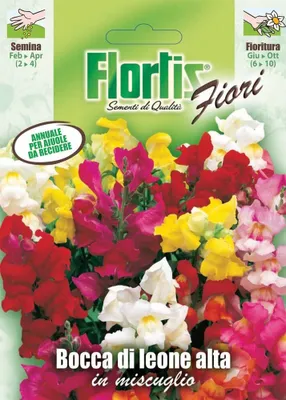 Produktbild von Löwenmaul Große Mischung | Löwenmaulsamen von Flortis