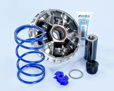 Produktbild von POLINI HI-SPEED Variator SYM 300 EURO 5