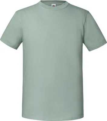 Produktbild von Fruit Of The Loom Herren Premium T-Shirt RW5974 (M) (Salbei)